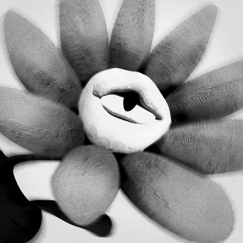 WE SHOULD STOP TELLING LIES - Single Cover